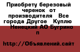 Приобрету березовый черенок  от производителя - Все города Другое » Куплю   . Ненецкий АО,Бугрино п.